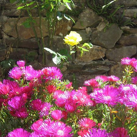 Liosderrig House B&B Glenbeigh Bagian luar foto