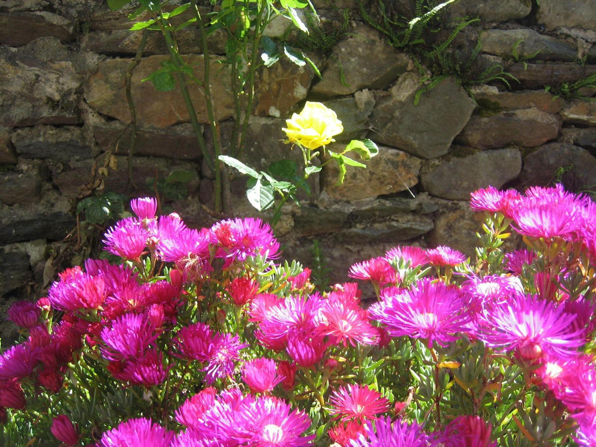 Liosderrig House B&B Glenbeigh Bagian luar foto